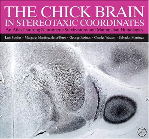 Chick Brain in Stereotaxic Coordinates An Atlas Featuring Neuromeric Subdivisions and Mammalian Homologies  2007 9780125666510 Front Cover