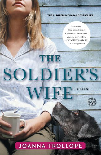 Soldier's Wife A Novel  2012 9781451672510 Front Cover