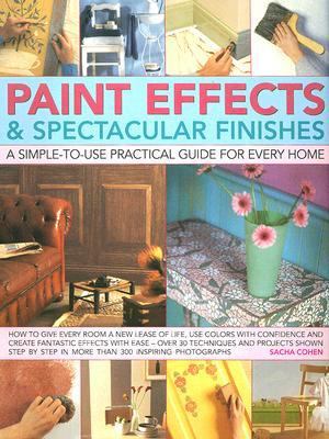 Paint Effects and Spectacular Finishes   2007 9780754817512 Front Cover