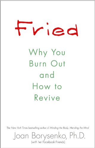 Fried Why You Burn Out and How to Revive N/A 9781401925512 Front Cover