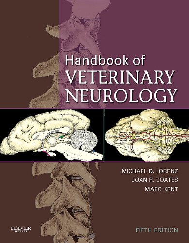 Handbook of Veterinary Neurology  5th 2011 9781437706512 Front Cover