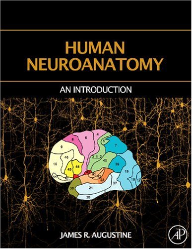 Human Neuroanatomy   2008 9780120682515 Front Cover