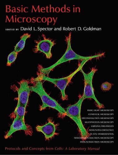 Basic Methods in Microscopy Protocols and Concepts from Cells: A Laboratory Manual  2006 (Revised) 9780879697518 Front Cover