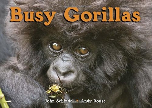 Busy Gorillas   2010 9781582463520 Front Cover