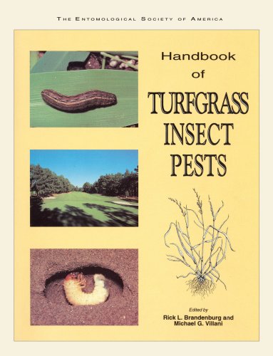 Handbook of Turfgrass Insect Pests : A Guide to Successful Insect Pest Management 1st 9780938522522 Front Cover