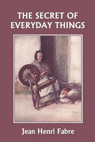Secret of Everyday Things  N/A 9781599152523 Front Cover