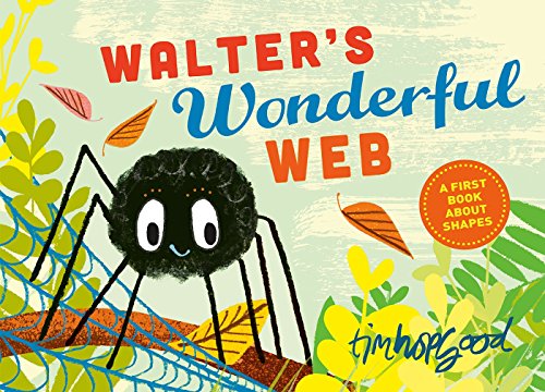 Walter's Wonderful Web A First Book about Shapes  2016 9780374303525 Front Cover