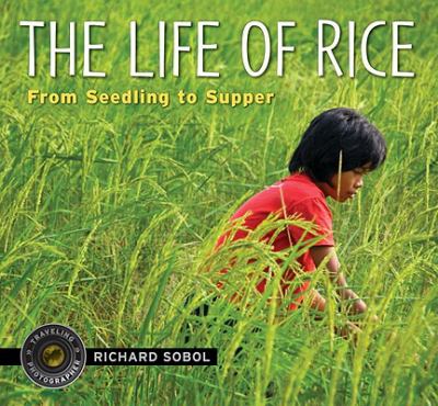 Life of Rice From Seedling to Supper  2010 9780763632526 Front Cover