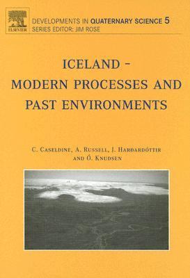 Iceland - Modern Processes and Past Environments   2005 9780444506528 Front Cover