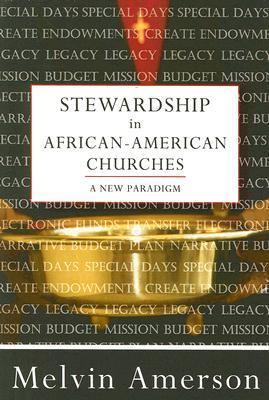 Stewardship in African-American Churches A New Paradigm  2006 9780881774528 Front Cover
