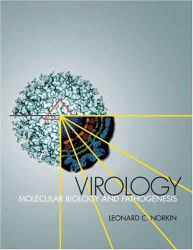 Virology Molecular Biology and Pathogenesis  2010 9781555814533 Front Cover