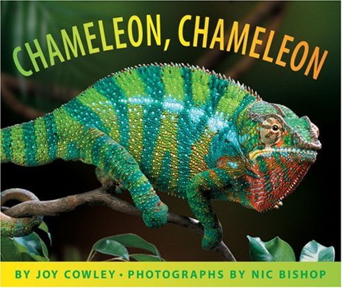 Chameleon Chameleon   2011 9780439666534 Front Cover