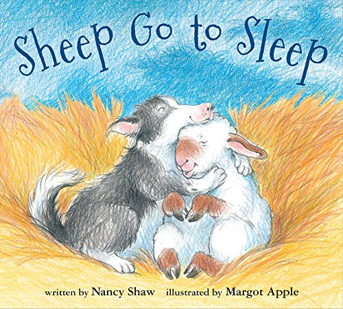 Sheep Go to Sleep Board Book   2015 9780544640535 Front Cover