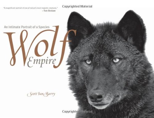 Wolf Empire An Intimate Portrait of a Species  2007 9781599210537 Front Cover