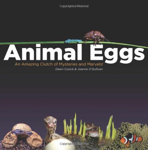 Animal Eggs An Amazing Clutch of Mysteries and Marvels  2010 9780979745539 Front Cover