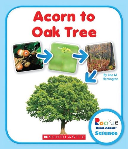 Acorn to Oak Tree:   2014 9780531210543 Front Cover