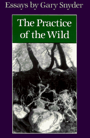Practice of the Wild Essays N/A 9780865474543 Front Cover