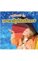 What Is Precipitation?:   2012 9780778707547 Front Cover