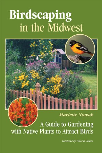 Birdscaping in the Midwest A Guide to Gardening with Native Plants to Attract Birds  2012 9780299291549 Front Cover