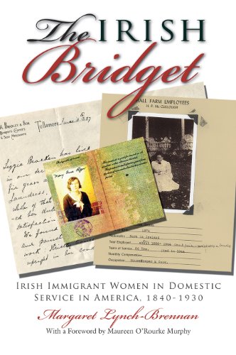 Irish BridgetÂ  Irish Immigrant Women in Domestic Service in America, 1840-1930  2009 9780815633549 Front Cover