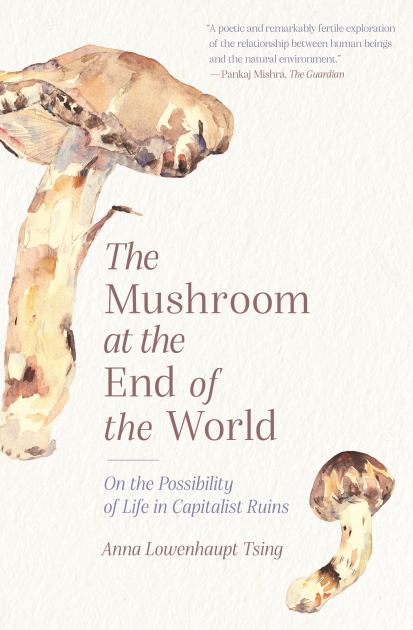 Mushroom at the End of the World On the Possibility of Life in Capitalist Ruins N/A 9780691220550 Front Cover