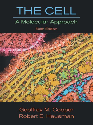 The Cell: A Molecular Approach  2013 9781605351551 Front Cover