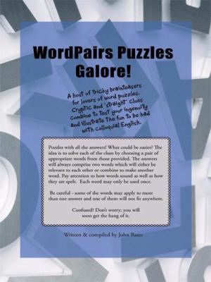 WordPairs Puzzles Galore   2008 9781438903552 Front Cover