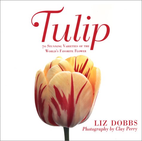 Tulip 70 Stunning Varieties of the World's Favorite Flower  2003 9780312310554 Front Cover