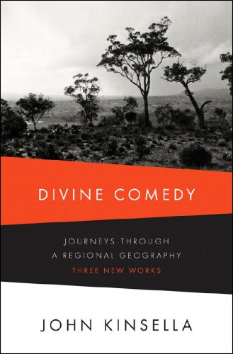 Divine Comedy Journeys Through a Regional Geography  2008 9780393066555 Front Cover