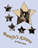 Brendyl's Kittens  N/A 9781492365556 Front Cover