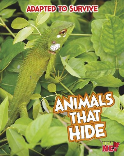 Animals That Hide:   2014 9781410961563 Front Cover
