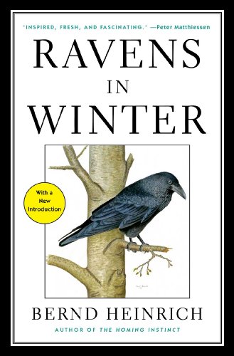 Ravens in Winter   2014 9781476794563 Front Cover