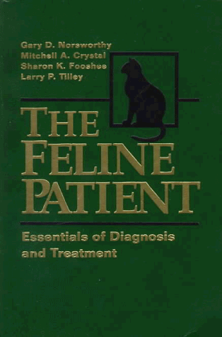 Feline Patient Essentials of Diagnosis and Treatment  1997 9780683065565 Front Cover