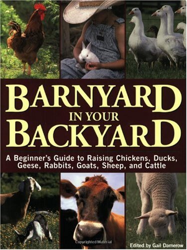 Barnyard in Your Backyard A Beginner's Guide to Raising Chickens, Ducks, Geese, Rabbits, Goats, Sheep, and Cows  2002 9781580174565 Front Cover