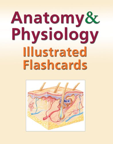 Anatomy and Physiology Illustrated Flashcards  3rd 2009 9781428376571 Front Cover