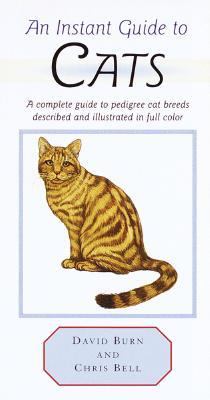 Instant Guide to Cats   2000 9780517123577 Front Cover