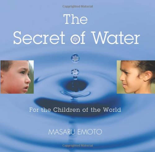 Secret of Water   2006 9781582701578 Front Cover