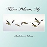 Where Pelicans Fly A Celebration of the Extraordinary Everyday N/A 9781479309580 Front Cover