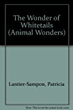 Wonder of Whitetails  N/A 9780836808582 Front Cover