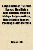Polyommatinae Talicada Nyseus, Sinai Baton Blue Butterfly, Megisba Malaya, Polyommatinae, Neopithecops Zalmora, Pseudophilotes Vicrama N/A 9781156570586 Front Cover