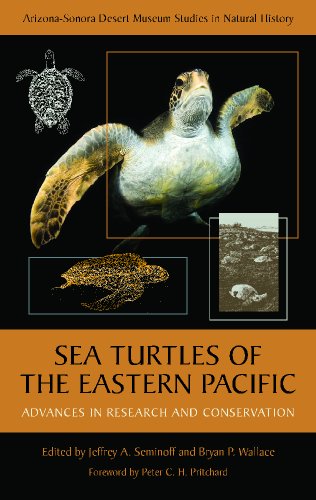 Sea Turtles of the Eastern Pacific Advances in Research and Conservation  2012 9780816511587 Front Cover