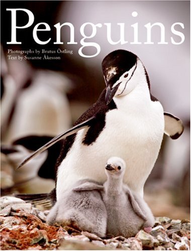 Penguins  N/A 9780061198588 Front Cover