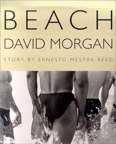 Beach   2000 (Revised) 9780312265588 Front Cover