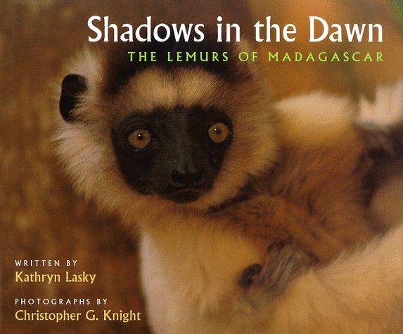 Shadows in the Dawn The Lemurs of Madagascar N/A 9780152002589 Front Cover