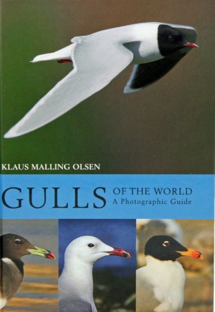 Gulls of the World A Photographic Guide  2018 9780691180595 Front Cover