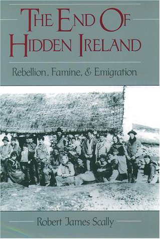 End of Hidden Ireland Rebellion, Famine, and Emigration  1996 9780195106596 Front Cover