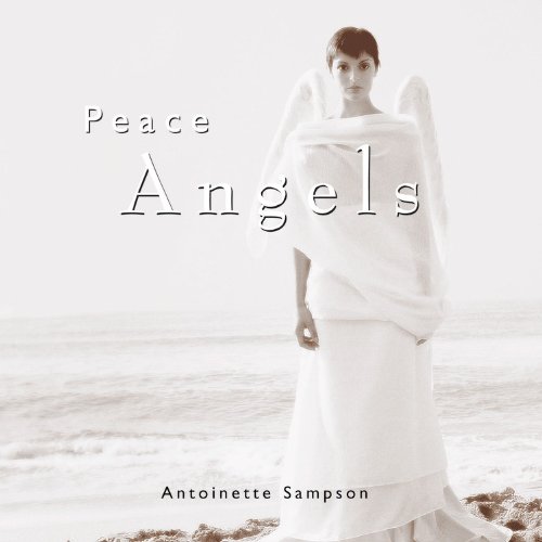 Peace Angels   2001 9780446531597 Front Cover