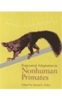 Postcranial Adaptation in Nonhuman Primates   1993 9780875805597 Front Cover