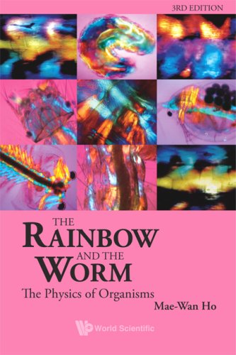 Rainbow and the Worm The Physics of Organisms 3rd 2008 9789812832597 Front Cover