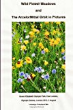 Wild Flower Meadows and the ArcelorMittal Orbit in Pictures  N/A 9781493654598 Front Cover
